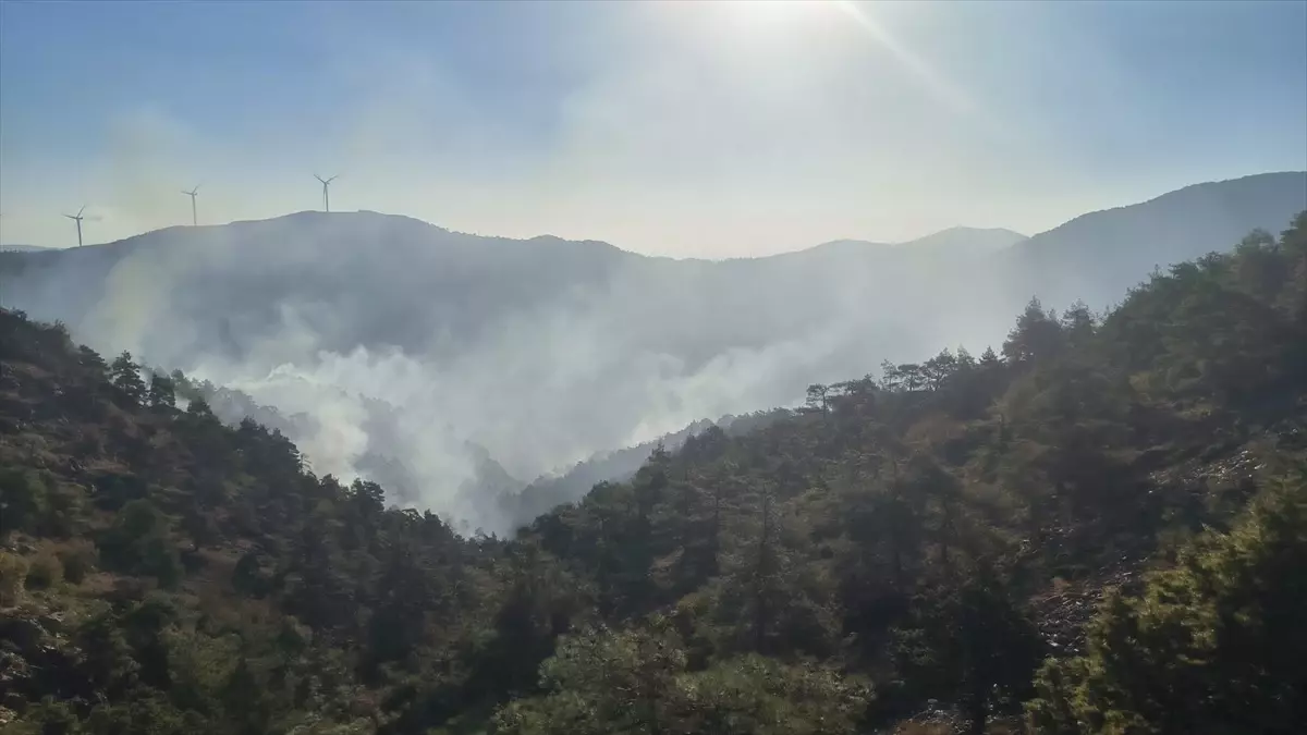 Antakya’da Orman Yangını Kontrol Altına Alınmaya Çalışılıyor