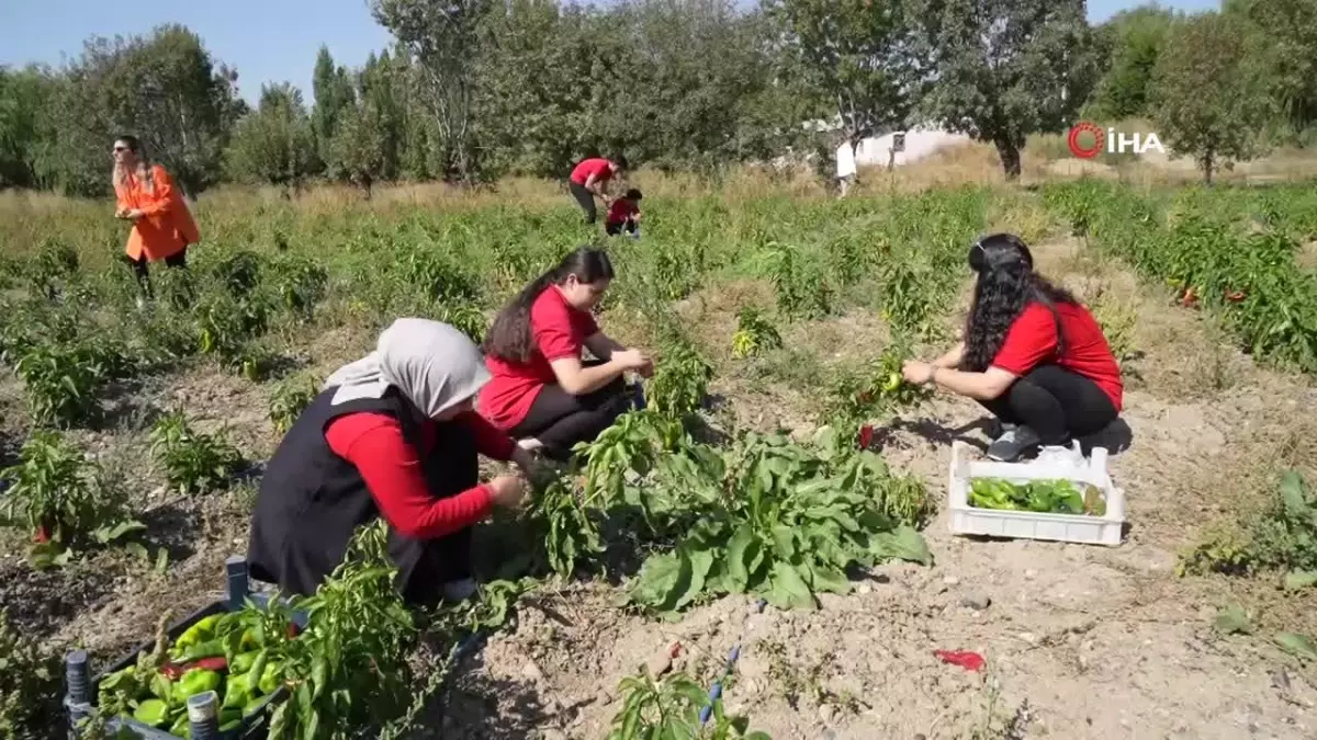 Meslek Lisesi Öğrencileri Tarım Yapıyor